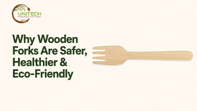 Why Wooden Forks Are Safer, Healthier & Eco-Friendly
