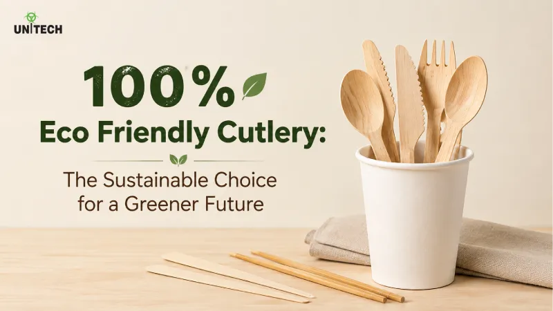100% Eco Friendly Cutlery: The Sustainable Choice for a Greener Future