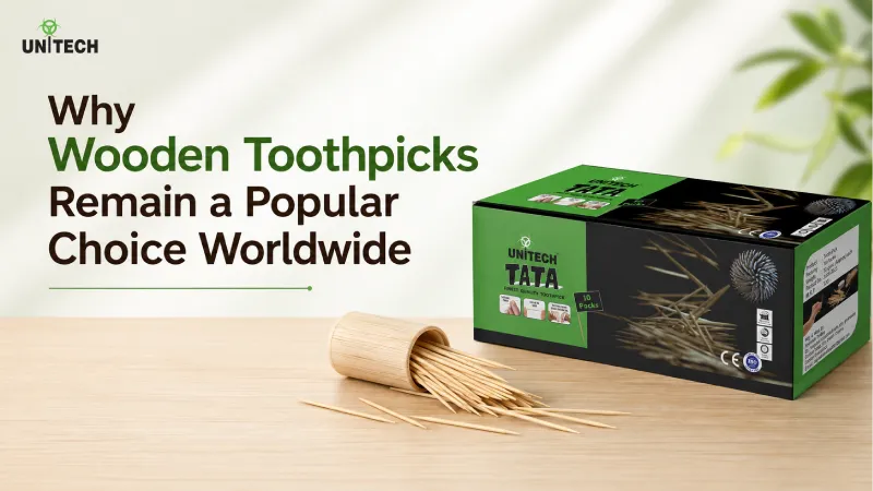 Why Wooden Toothpicks Remain a Popular Choice Worldwide
